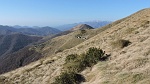 Gli alpeggi Selvetta e Curgiolo